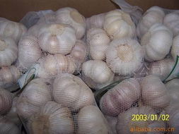 金乡县恒兴蒜业 匠心耕耘，打造多元化高品质农副产品矩阵