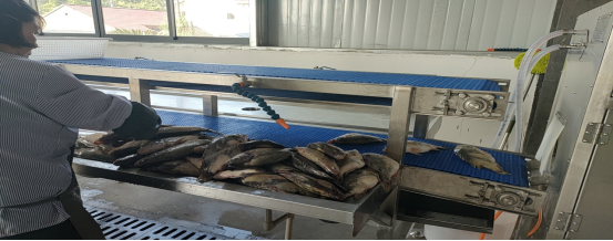 池州贵池涓桥镇 加快农业转型升级，以特色农副产品助力乡村产业振兴