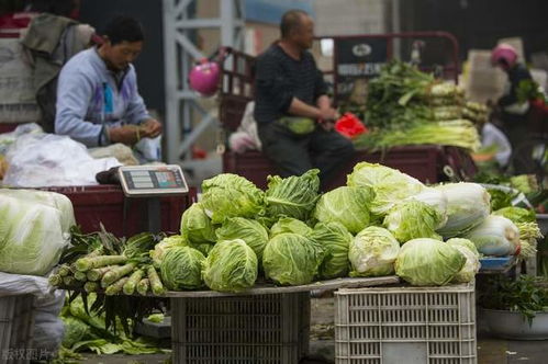 农副产业电商的数字化升级 共绘乡村振兴美好未来