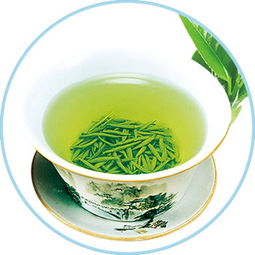 首批主推介农副产品 精选推荐与投票福利