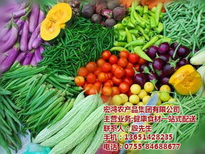 宏鸿农产品集团 专业工厂食材配送，保障农副产品高效供应