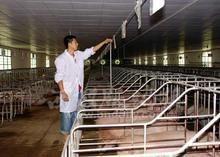 中国最大养猪场在哪里？