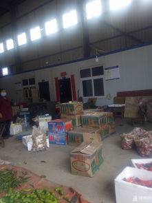 随州白沙洲农副产品大市场采购纪实 批发数十斤新鲜蔬菜与农副产品的实用指南